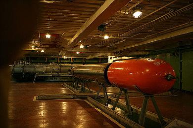 E3：《动物派对》2022年登陆Xbox主机 首日加入XGP